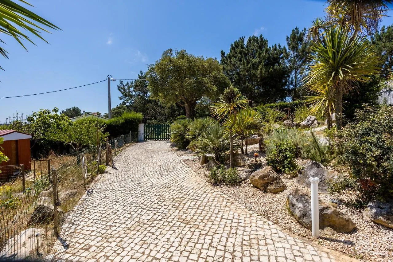 Apartment Asami - With Great Outdoor Area! Aljezur